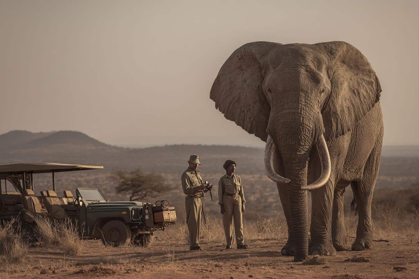 ahmed elephant legende conservation afrique