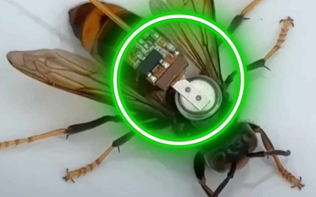 Ce dispositif français a vaincu le frelon asiatique : l’invention de cet ex-ingénieur Airbus change la donne pour les apiculteurs du monde entier