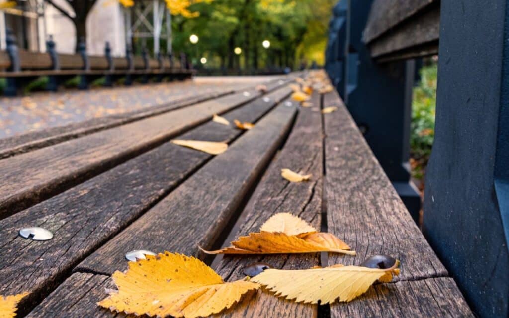 Ce rituel d’automne est inconnu de la majorité des Français pourtant il vous évite une invasion invisible et coûteuse