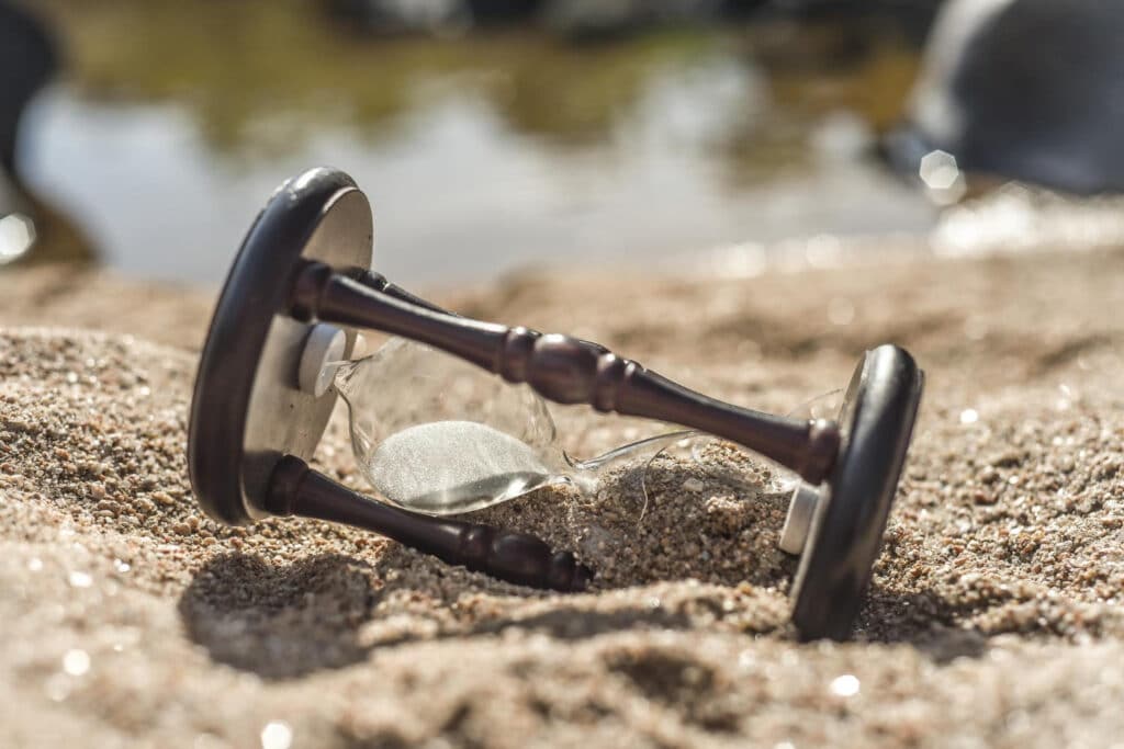 cet animal à 9 cerveaux va succéder à l’humanité