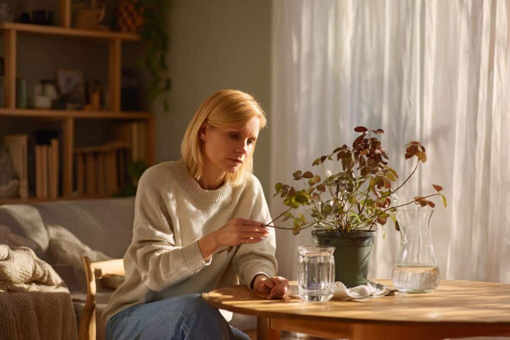 feuilles plante extremites marron couper