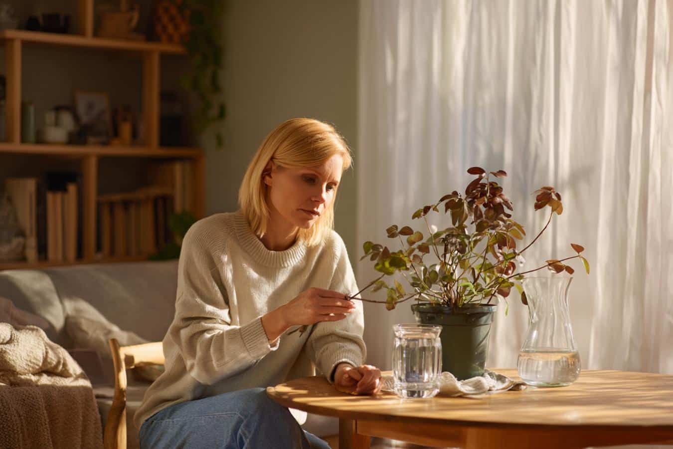 feuilles plante extremites marron couper