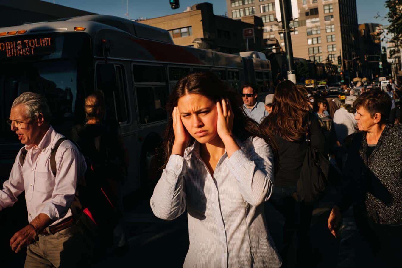 impact de la pollution sonore sur lenvironnement