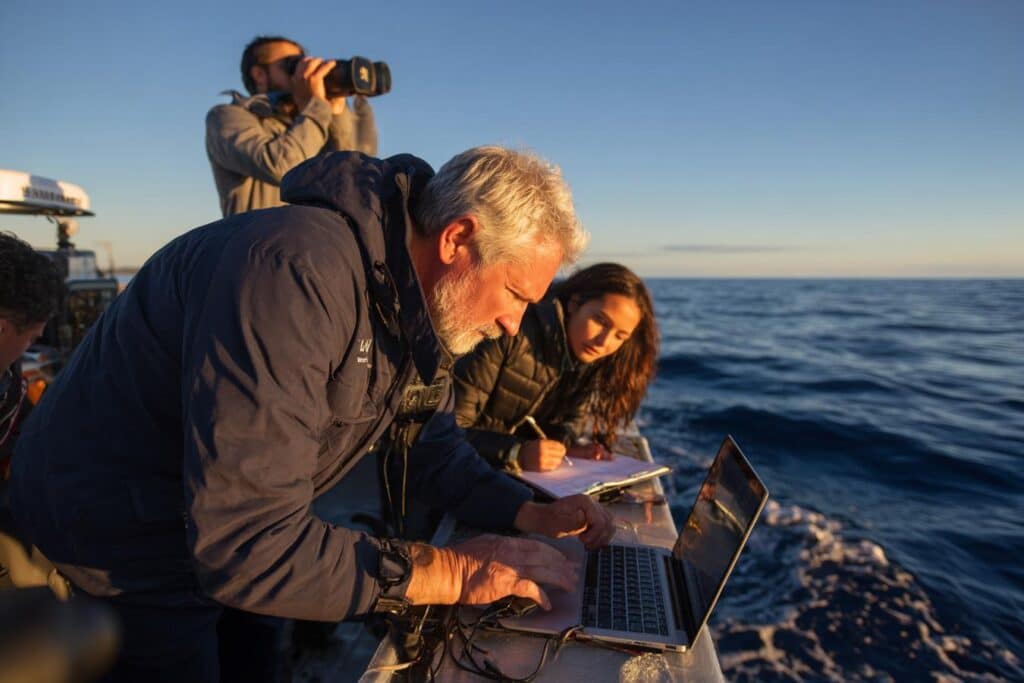 impact de la reverberation sous marine