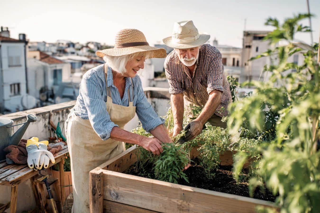 jardiniere bois sur pied dans jardin verdoyant