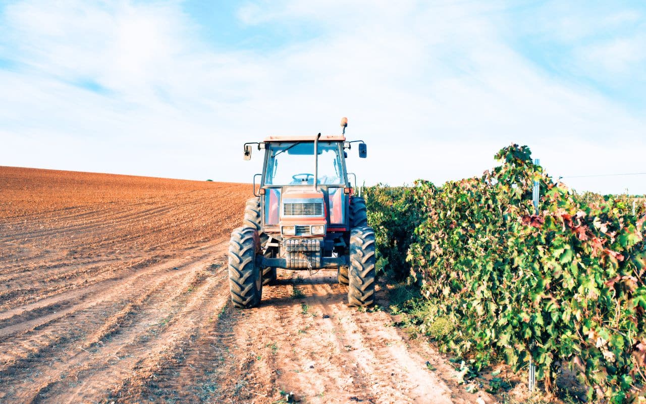 L’Europe lâche prise : ces OGM déguisés en plantes naturelles vont envahir vos assiettes sans que vous le sachiez