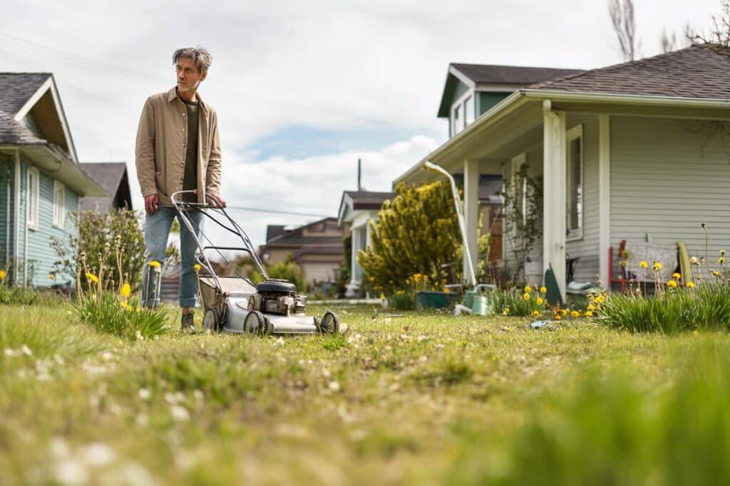 pelouse haute printemps jardin avril