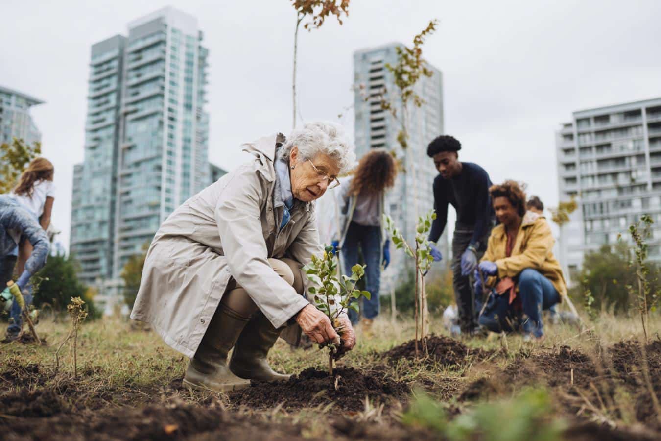 villes adaptees resilience climatique urbaine